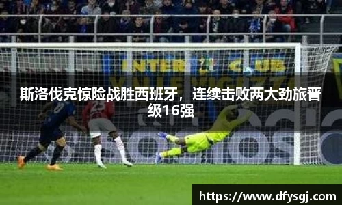 博鱼中国官方入口
