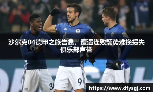 博鱼中国官方网站