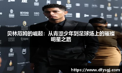 博鱼中国官方网站