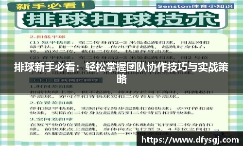 博鱼.体育官网